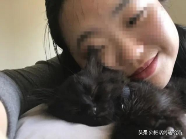 留學生被拒20次終於領養到貓，半年後發現小貓咪居然變色了