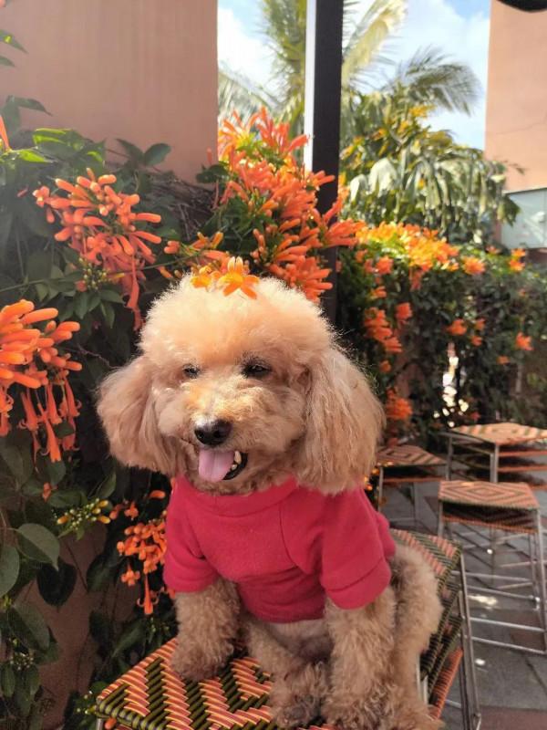 沒有冬天的地方