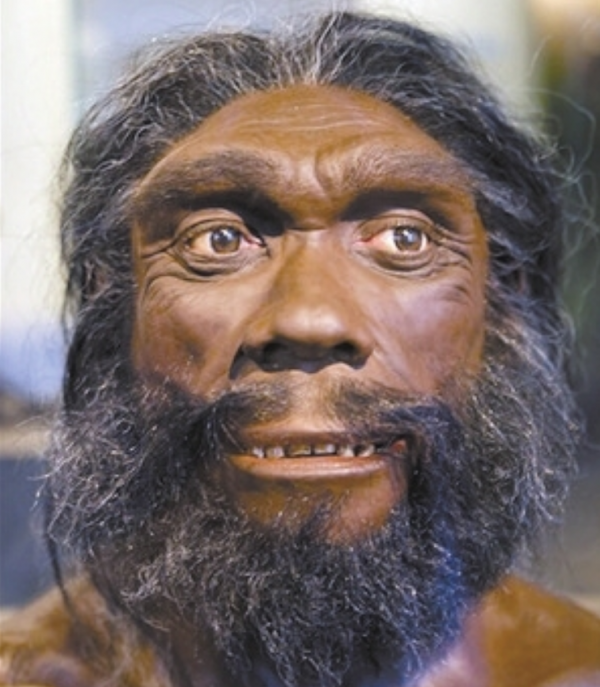 “夏娃理論”遭質疑，人類並非起源於非洲？中國發現的化石是關鍵