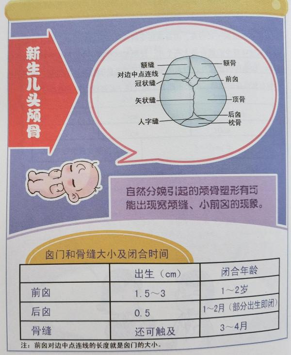 讀書筆記——《崔玉濤圖解家庭育兒⑧——小兒生長髮育》摘錄1