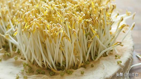 家庭自制綠豆芽,教你5個小秘訣,豆芽4天就能吃,安全衛生又營養 家庭自制綠豆芽,教你5個小秘訣,豆芽4天就能吃,安全衛生又營養