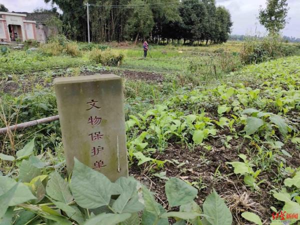 重走古蜀文明之路丨第1站:高山古城,古蜀文明探源的重要座標 重走古蜀文明之路丨第1站:高山古城,古蜀文明探源的重要座標