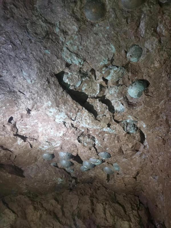 親子旅行-看,好多恐龍蛋呀 親子旅行-看,好多恐龍蛋呀