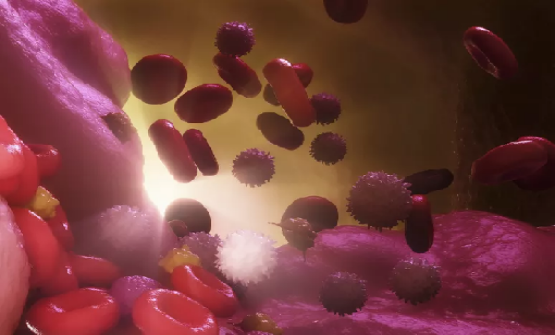 12個動物器官系統 12個動物器官系統