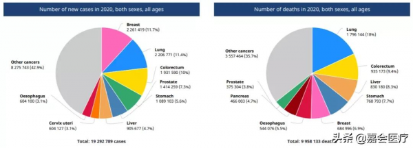 癌症確診後：先去外科還是腫瘤內科？癌症治療如何少走彎路？