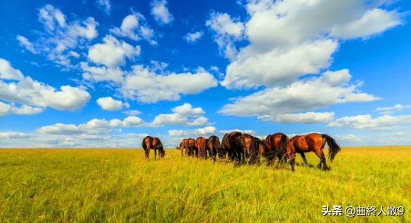 中國最值得去的八個地方 中國最值得去的八個地方