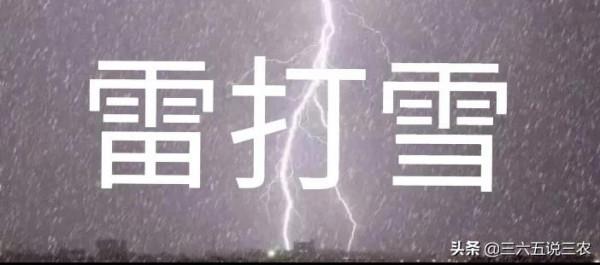 天氣預報:今日立冬,電閃雷鳴天氣有什麼預兆?看看老祖宗怎麼說 天氣預報:今日立冬,電閃雷鳴天氣有什麼預兆?看看老祖宗怎麼說