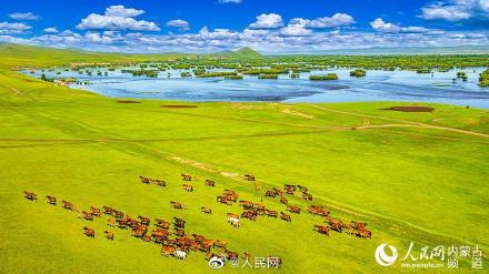 美！額爾古納溼地彩色大片