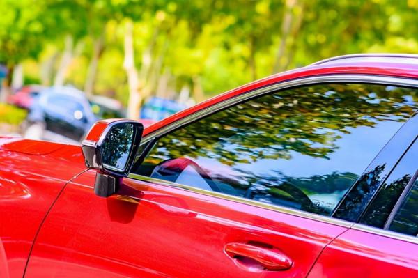 11月的南京,美齡宮就成了秋冬美景的天花板 11月的南京,美齡宮就成了秋冬美景的天花板