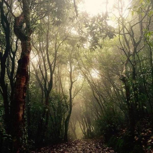 因不願面對投降的事實，兩名日軍在投降儀式前夕逃入深山