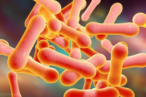 鼻子問題帶出肺病,17歲小夥咳嗽8年,氣管鏡吸出“一斤痰” 鼻子問題帶出肺病,17歲小夥咳嗽8年,氣管鏡吸出“一斤痰”