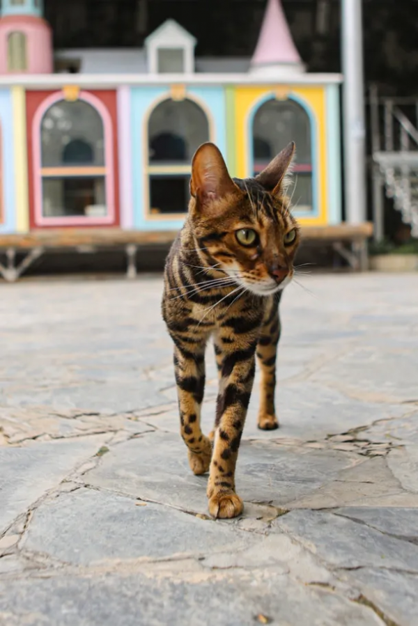 GFM天團首屆秋冬時裝秀,等你來圍觀 GFM天團首屆秋冬時裝秀,等你來圍觀