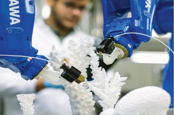 新研究專案旨在利用3D列印的碳酸鈣珊瑚骨架幫助恢復珊瑚礁