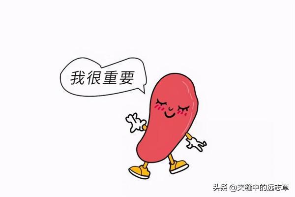 喝水都長肉？講兩個方子，一個化痰，一個清熱，給胖子減減肥