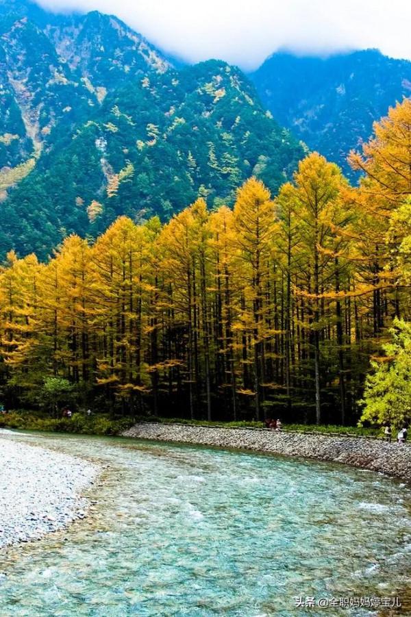 分享——美景小道