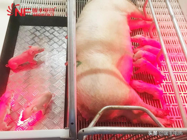 養殖場供暖選什麼產品經濟又實惠呢？