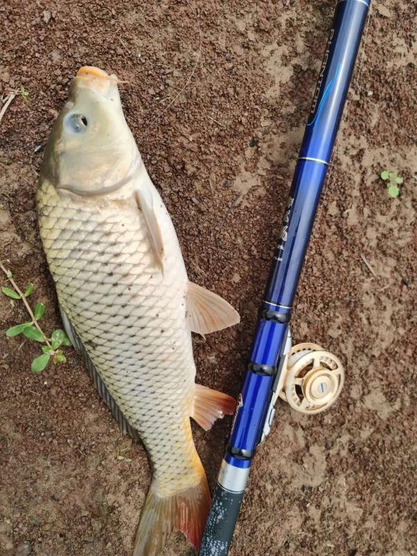 冬季不想空軍，跟大師學釣魚