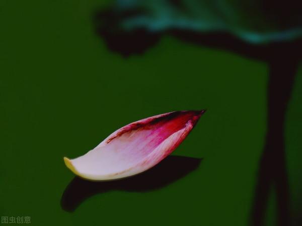 懂得人情世故,日子才能過得風生水起 懂得人情世故,日子才能過得風生水起