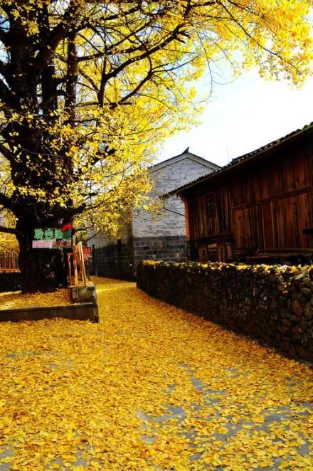 世界是一個大花園 世界是一個大花園