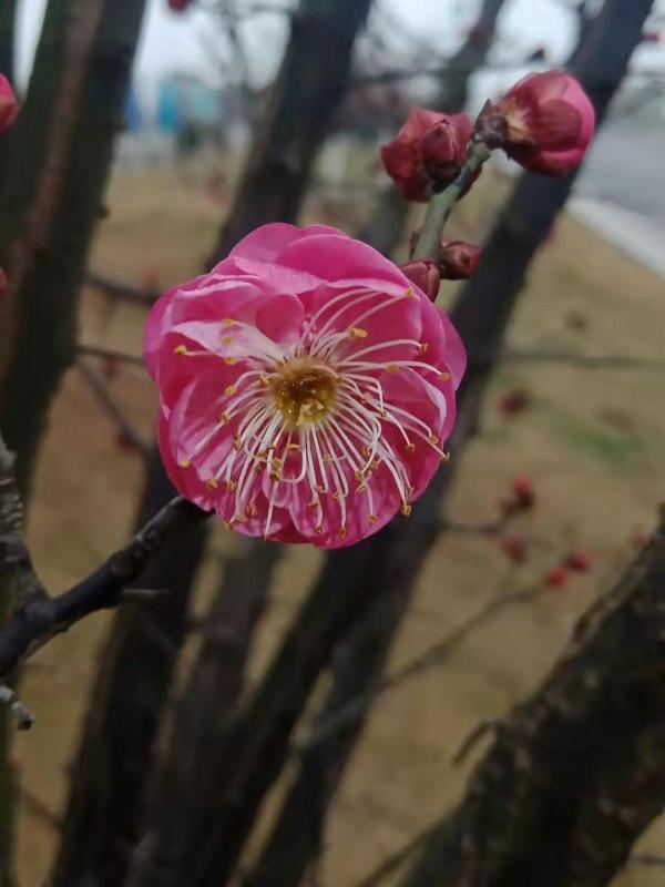匹配的就是最好的