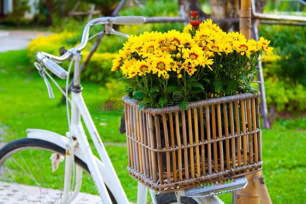 智者，人生三樂即是福