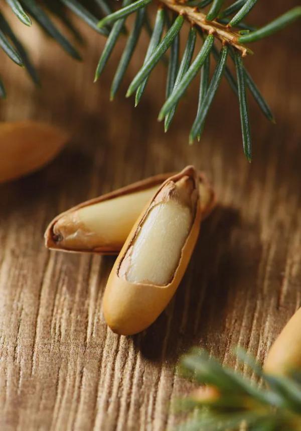 有什麼事，年後再說！冷門小眾年貨專題，一次安排7種