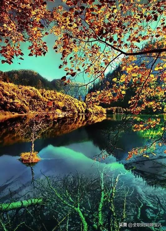 分享——令人迷幻的九寨溝