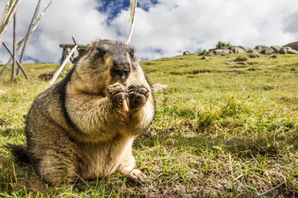 最適合11月份去的12個地方，挑上一個，住個三五天，治癒疲憊的心