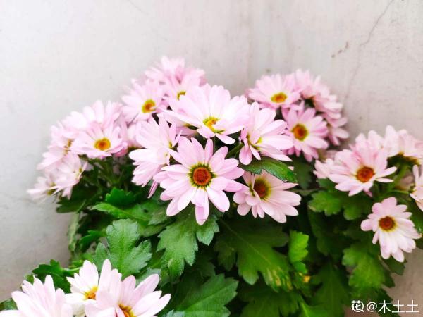 秋天又乏又燥，做好5件事，有效緩解“乏”和“燥”