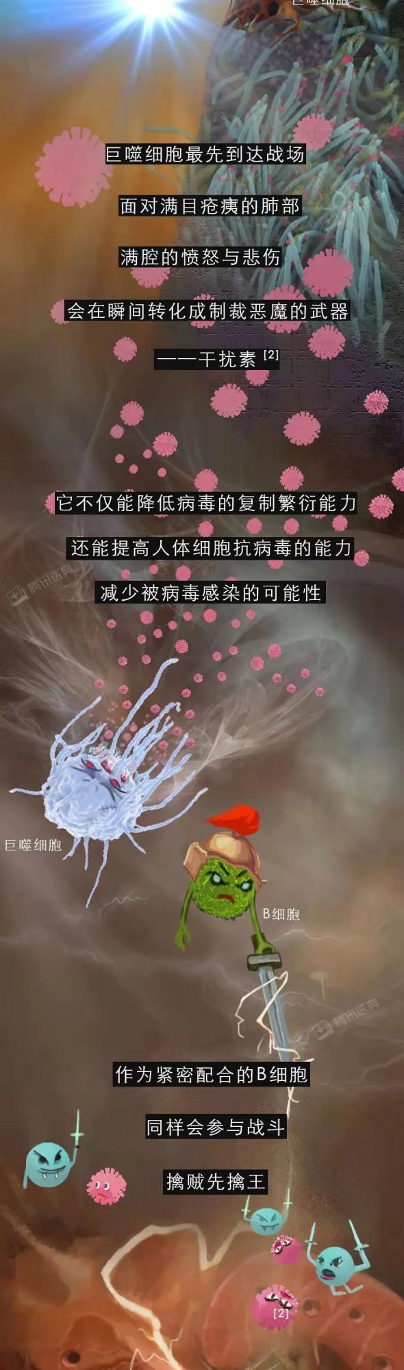 人類殺死新冠病毒的強武器,其實藏在你身體裡 人類殺死新冠病毒的強武器,其實藏在你身體裡