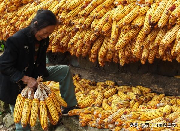 糧食一直不漲價，而種子、化肥、農藥價格卻一路猛漲，原因在哪？