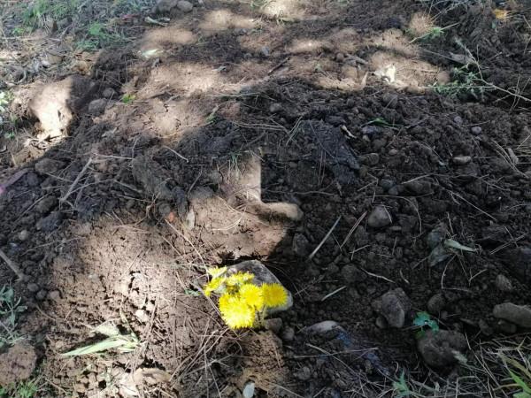 我的招財，感謝你曾經來過我的世界