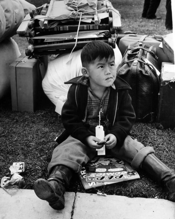 33張活久未見的照片,200 公斤重的藍鯨心臟,螞蟻腿上安裝高蹺 33張活久未見的照片,200 公斤重的藍鯨心臟,螞蟻腿上安裝高蹺