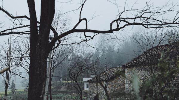 馬上要過年了，過年應該去誰家？如何選擇才是最佳的結局？