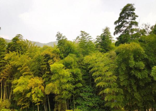 香山沖水庫和香山國家森林公園溜一圈，值得