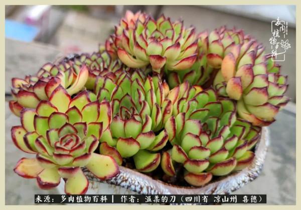 風吹過的夏天,你是仙子落凡間 風吹過的夏天,你是仙子落凡間