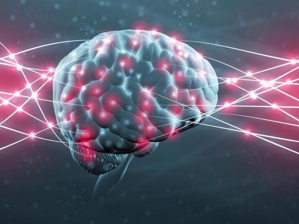 關於人體的15個冷知識，真有趣，奇怪的知識增加了