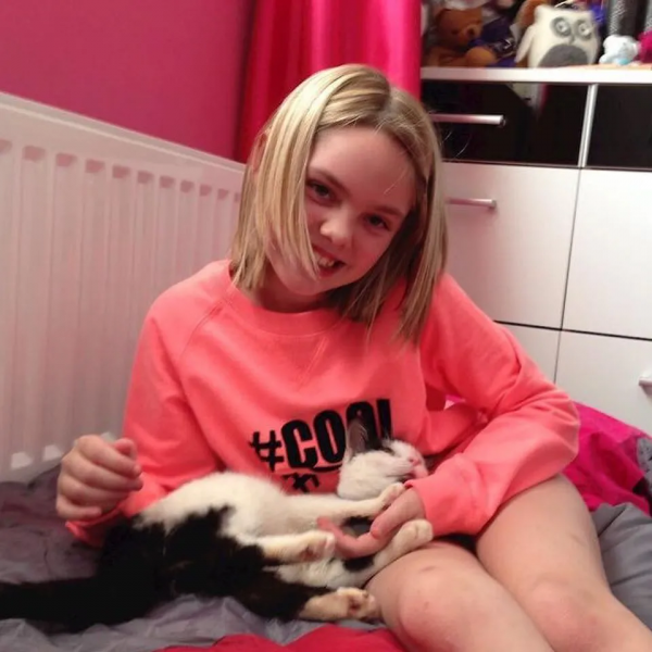 從營養不良的病貓,到長成“肥牛”,中間只差一位愛它的鏟屎官 從營養不良的病貓,到長成“肥牛”,中間只差一位愛它的鏟屎官