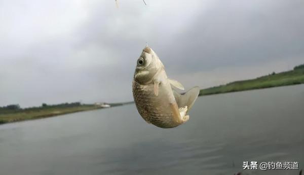 早春垂釣技巧及注意事項