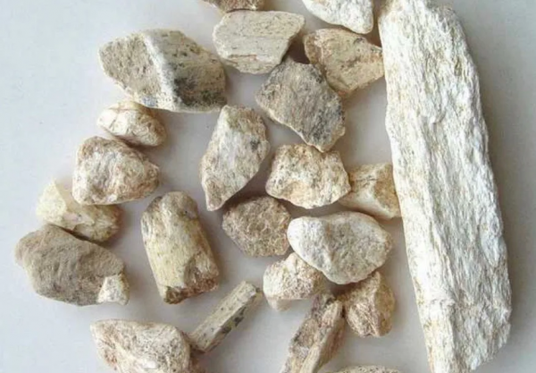 詩詞與中醫｜&ZeroWidthSpace;繞堤龍骨冷，拂岸鴨頭香&mdash;&mdash;聊聊中藥龍骨