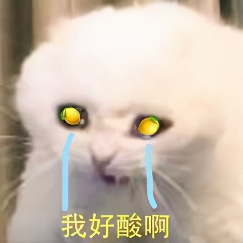 喵星人可愛表情包來了