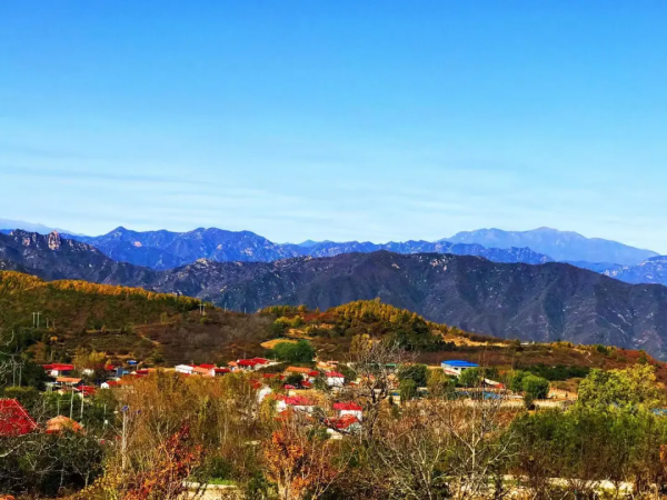 層嵐疊嶂的濃郁秋色，渲染出絕美的黃安坨！