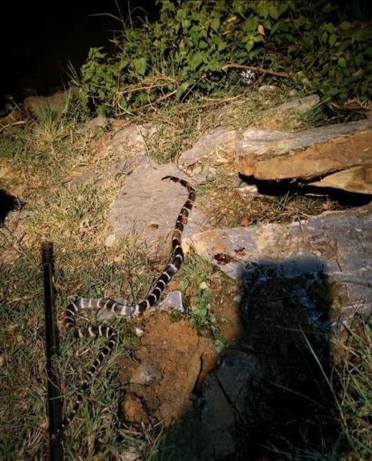夜釣必須要作好的安全防範措施,經常夜釣的朋友趕緊看過來 夜釣必須要作好的安全防範措施,經常夜釣的朋友趕緊看過來