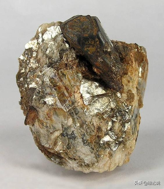 北方四島：俄羅斯的遠東通道，金礦銀礦油氣田一應俱全的寶藏群島