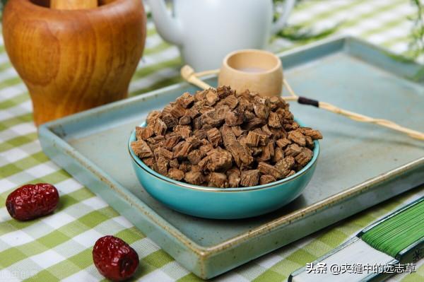 骨量丟失,骨質疏鬆?送你六味中藥,陰陽雙補,活血化瘀,強筋骨 骨量丟失,骨質疏鬆?送你六味中藥,陰陽雙補,活血化瘀,強筋骨