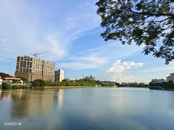 曲屏手機用膩了，快來考慮一下這些直屏好物吧