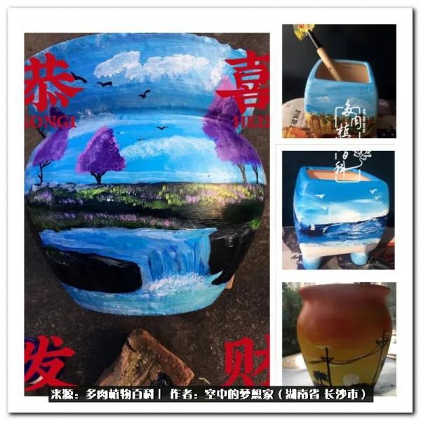 北陽臺黨，也有個多肉花園夢