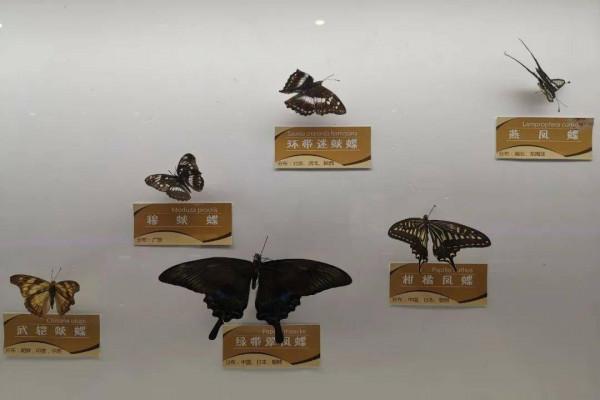 從寒潮低溫來看生物進化 從寒潮低溫來看生物進化