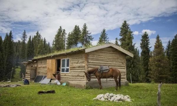 中國最美的9大草原，一輛車，三五好友，就可以馳騁在草原上
