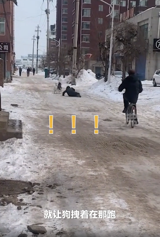 琿春：男子雪天出門遛狗，反被哈士奇拖著跑，這遛狗多少有點費人